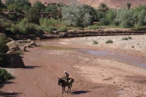 Ait Ben Haddou Day Trip